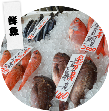 鮮魚